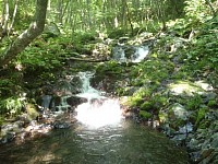 目指しているのは室内河川！！